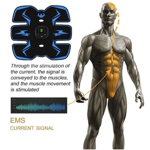 Hilipert EMS Muscle Stimulator